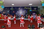 Mừng ngày Giáng sinh năm 2019