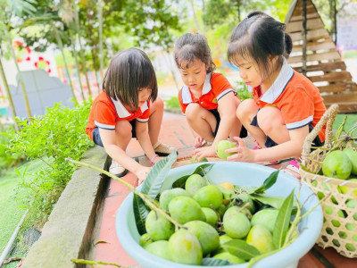 TRƯỜNG MẦM NON HÀNG ĐÀO - Xây dựng môi trường xanh, an toàn, thân thiện, hạnh phúc – Nơi cha mẹ gửi trọn niềm tin